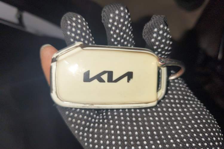 Used Kia Seltos 2023 1.5L CVT Luxury Edition
