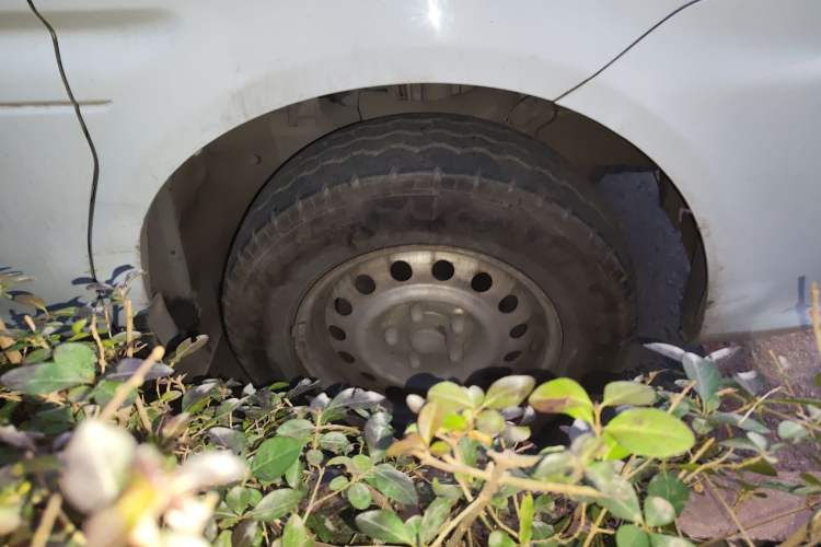 Used FORTHING Lingzhi 2019 M5L 1.6L 7-Seater Exclusive Model China VI Standard