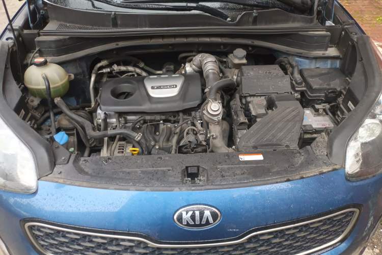 Used Kia KX5 2016 1.6T Automatic Two-Wheel Drive DLX