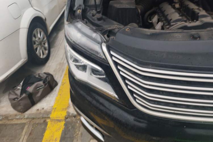 Used FORTHING Lingzhi 2018 M5L 2.0L 7-Seater Comfort Model