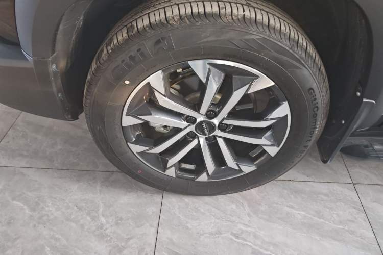 Used Haval DARGO 2024 1.5T DCT Border Collie Edition
