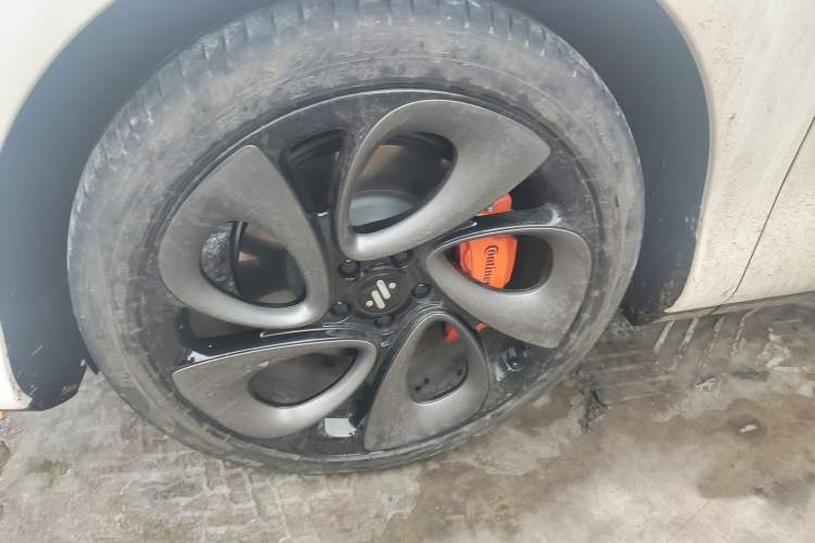 Used  LS6 2023 Max Long-Range Version