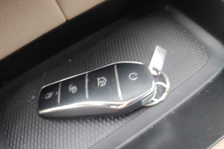 Used BYD Dolphin 2024 Honor Edition 420km Freedom Version
