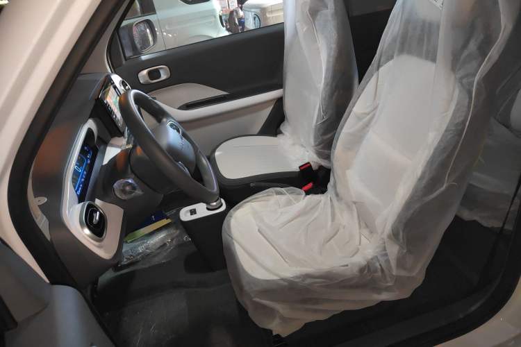 Used  Panda 2025 210 km – Yuanqi Bear
