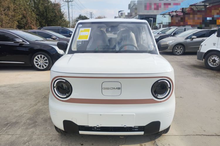Used  Panda 2024 Panda Mini 200km Endurance Bear
