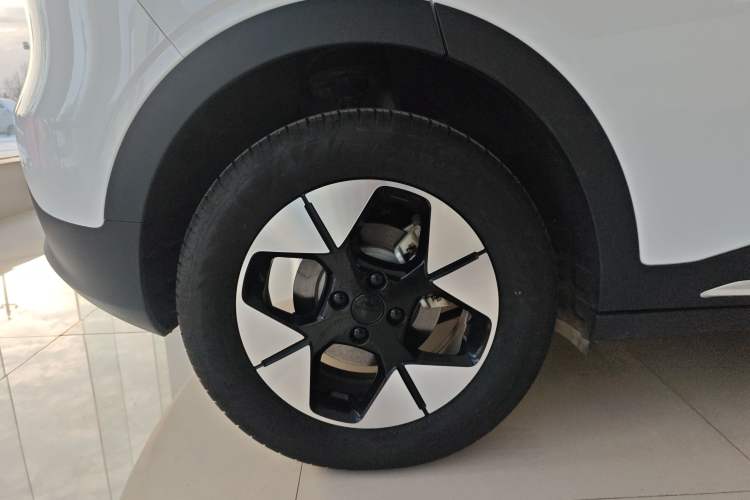 Used  Geome 2025 310km Dream Edition