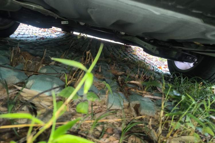 Used Volkswagen Lamando 2024 Lingdu L 200TSI DSG Trendy & Spicy Edition
