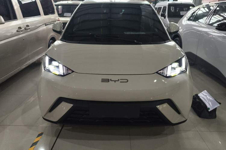 Used BYD Seagull 2023 Flying Edition
