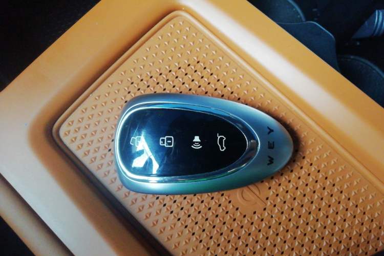 Used Wey Lanshan 2023 Four-Wheel Drive Ultra-Long Range Version