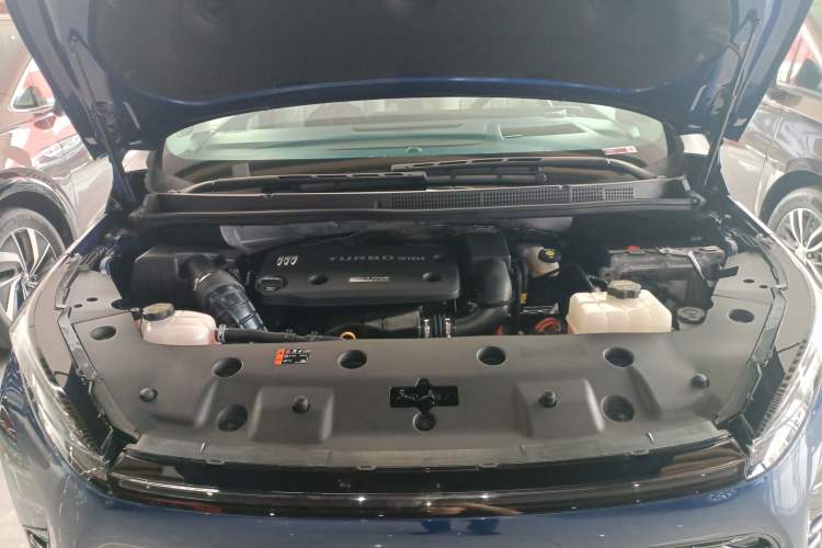 Used Buick GL8 New Energy 2024 Lu Zun Luxury Edition 7-Seater
