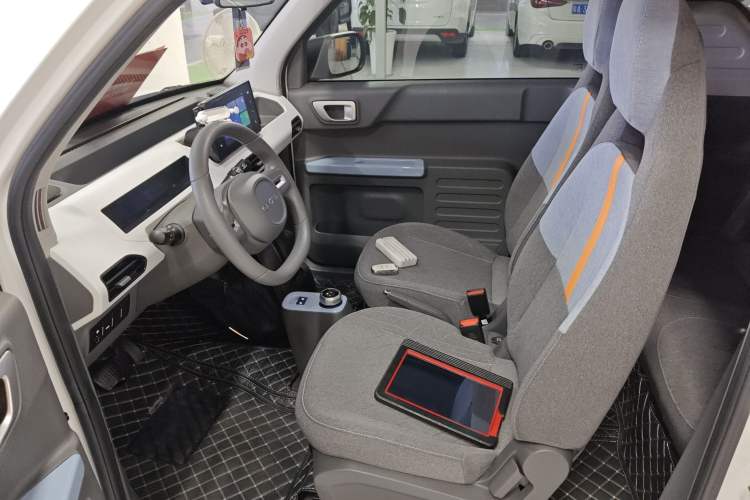 Used  Panda 2024 Panda Mini 200km Endurance Bear
