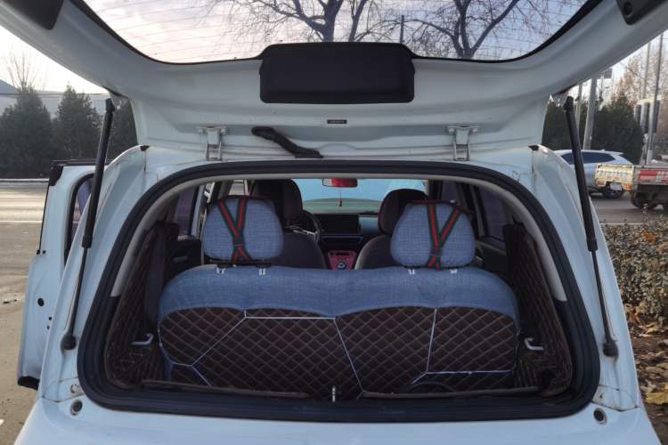 Used ORA White Cat 2020 305 km Luxury Version
