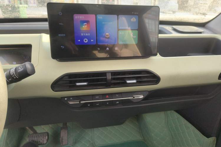 Used  Panda 2023 Panda Mini 200km Dynamic Bear
