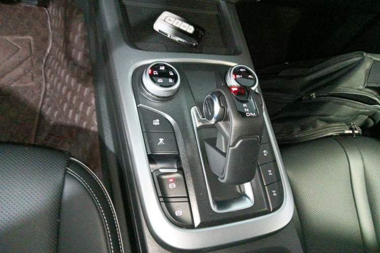 Used Tank 300 2024 2.0T Conqueror