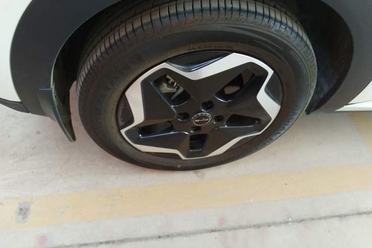 Used BYD Dolphin 2021 405 km Free Version