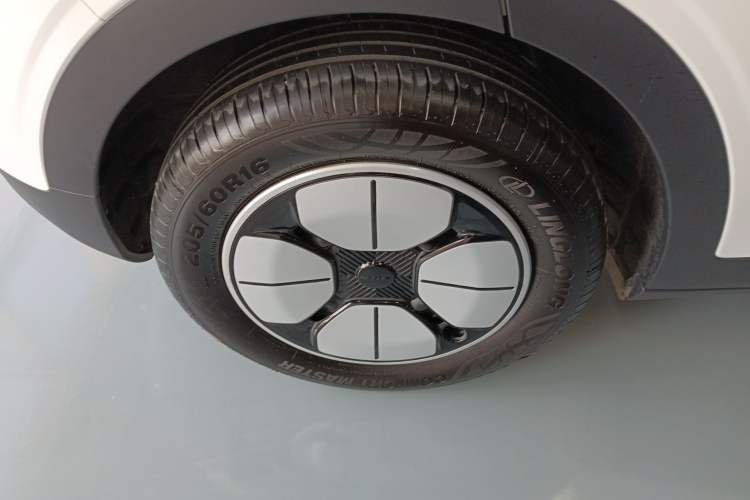 Used  Geome 2025 310km Youth Edition