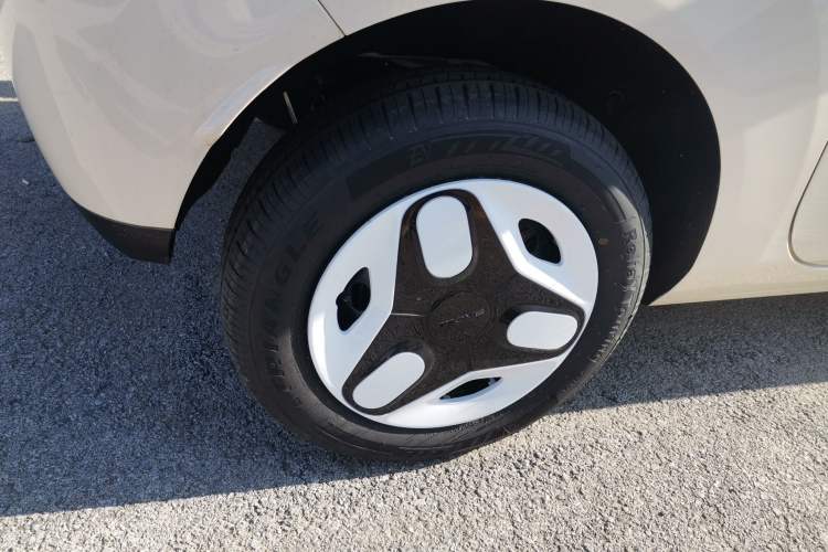 Used  Panda 2025 210 km – Yuanqi Bear