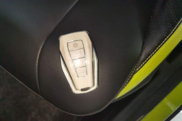 Used Geometry E Firefly 2023 401KM Lightning Tiger 5-Seater