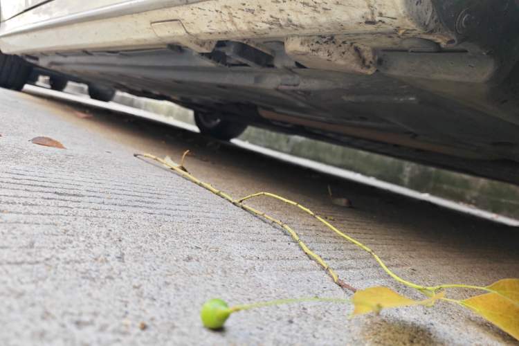 Used Mercedes-Benz C-Class 2021 C 260 L Sport Edition