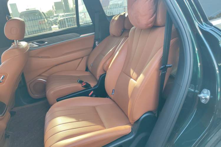 Used Wey Lanshan 2023 Two-Wheel Drive Long-Range Version