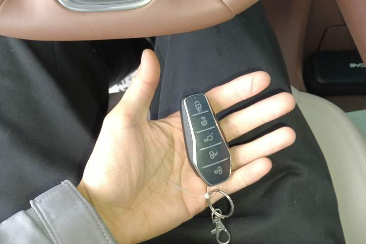 Used BYD Xia 2025 DM-i 1.5T 180km Excellence Model
