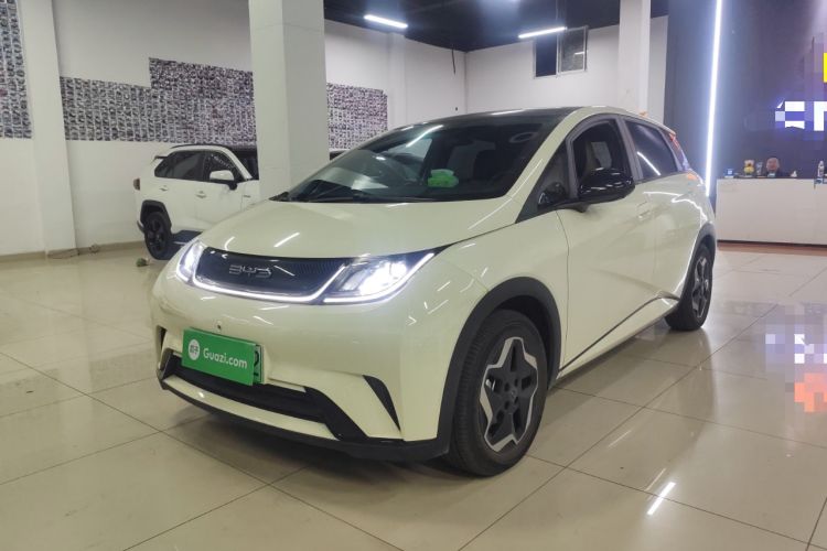 Used BYD Dolphin 2021 405 km Fashion Edition
