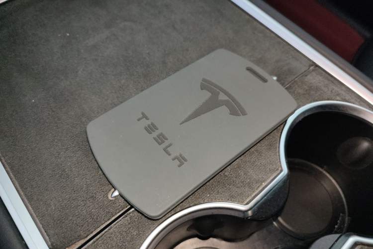 Used Tesla Model Y 2021 Standard Range Rear-Wheel Drive Version
