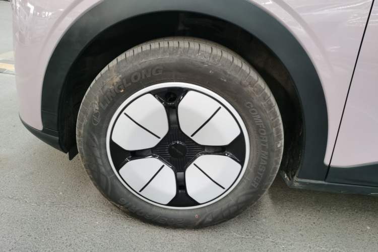 Used  Geome 2025 410 km Free Version
