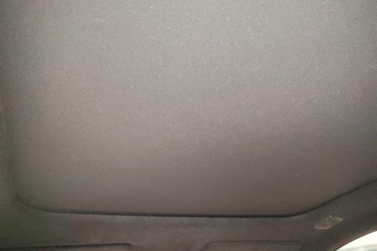 Used  07 2024 Max Extended-Range Edition
