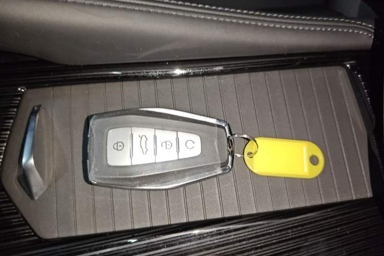 Used Geely Auto Monjaro L 2024 2.0TD High-Power Automatic Two-Wheel Drive Skyline Edition
