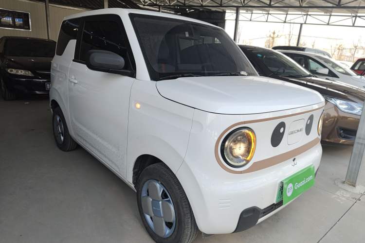 Used  Panda 2024 Panda Mini 200km Endurance Bear