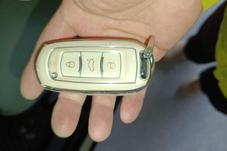 Used  Panda 2024 200km Panda Rider