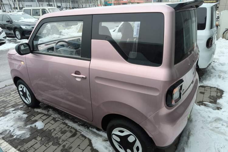 Used  Panda 2025 210 km – Yuanqi Bear
