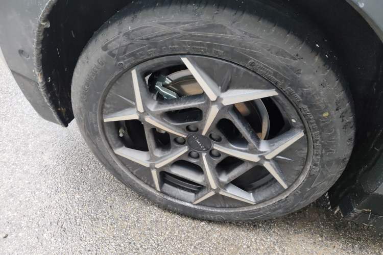 Used Lynk & Co Z20 2025 530 km Range Rear-Wheel Drive Max