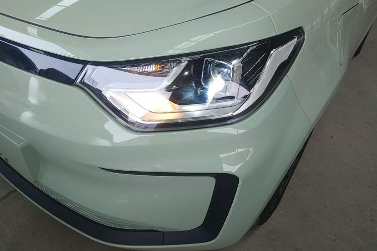 Used SOL E10X 2022 Flower Fairy Style Baby's Breath
