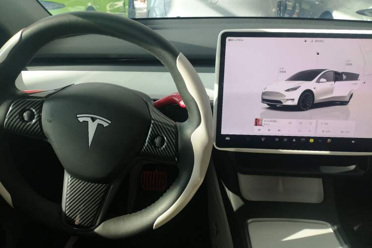 Used Tesla Model Y 2022 Revised Version Long-Range All-Wheel Drive