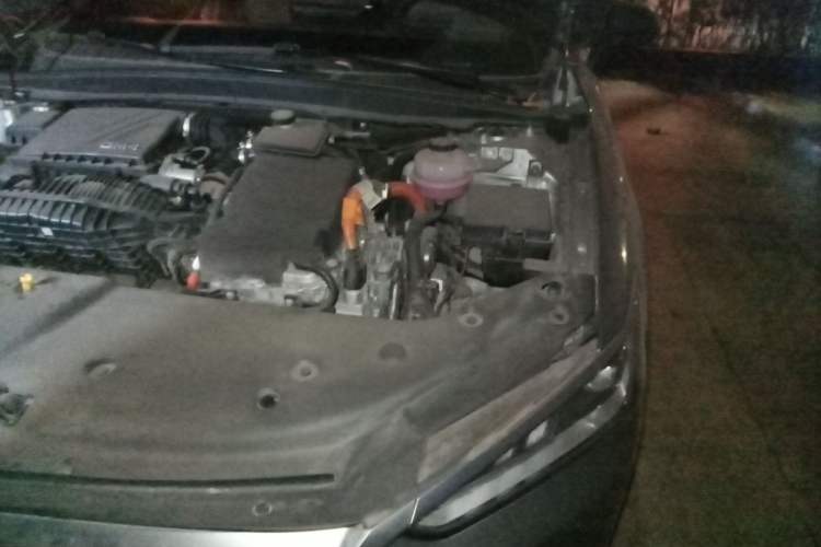 Used BYD Qin PLUS 2023 Champion Edition DM-i 120KM Leading Model