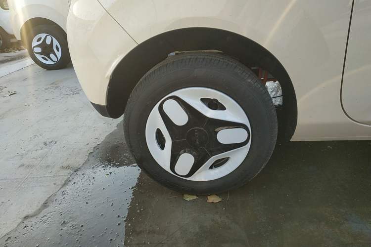 Used  Panda 2025 210 km – Yuanqi Bear
