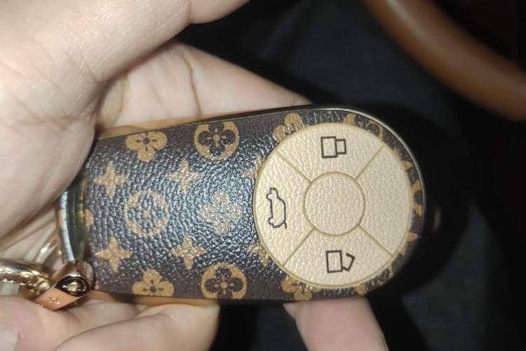 Used ORA Lightning Cat 2022 555 km Luxury Edition