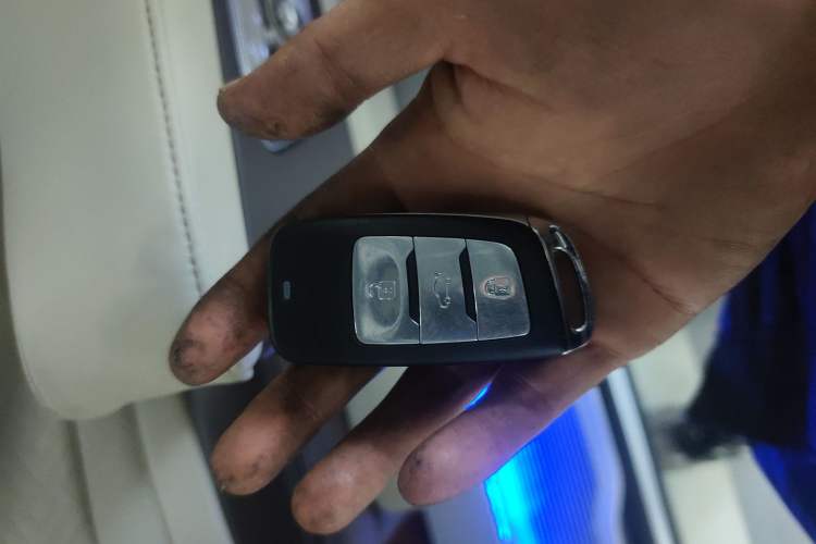 Used Oshan Cosmos 2022 1.5T Automatic Business Model
