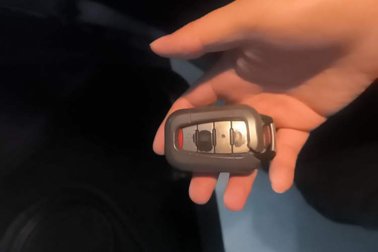 Used ORA Black Cat 2021 301km Cute Pet Edition
