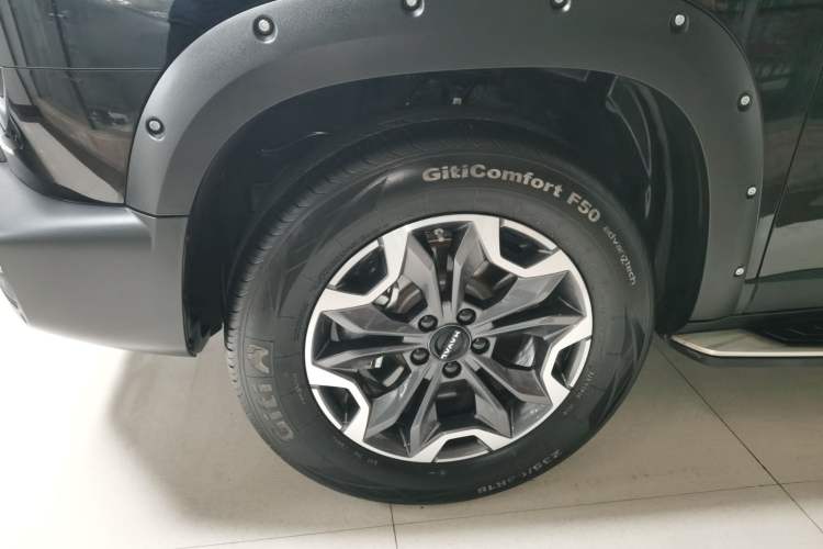 Used Haval DARGO 2024 2.0T DCT Chinese Rural Dog Edition