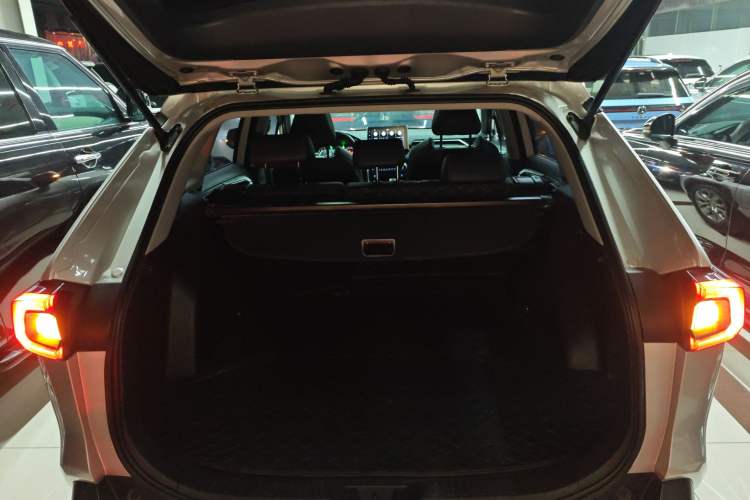 Used Toyota Wildlander 2022 2.0L CVT Two-Wheel Drive Luxury Edition
