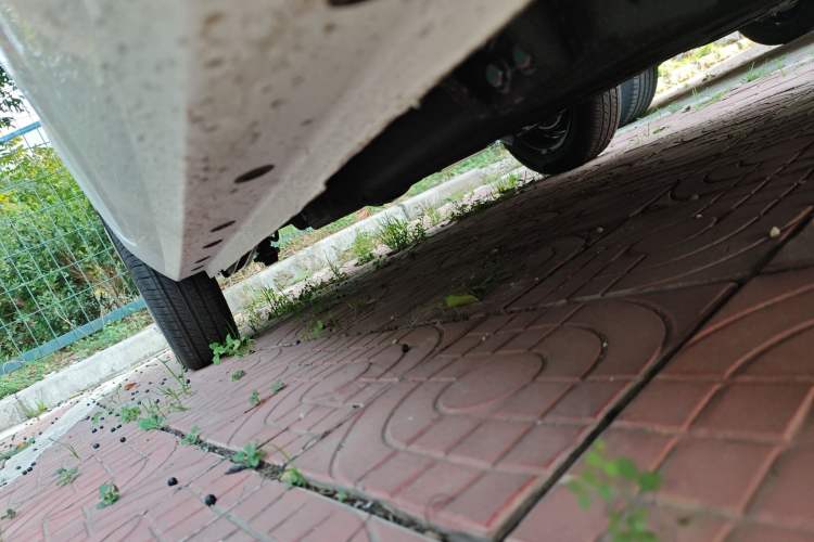 Used  Panda 2024 Panda Mini 200km Endurance Bear
