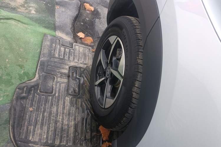 Used BYD Yuan UP 2024 401KM Leading Edition