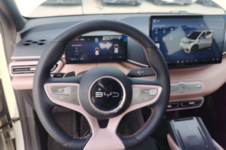 Used BYD Seagull 2025 Smart Drive Version 305 km Freedom Edition
