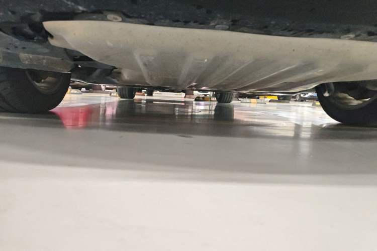 Used BMW 5 Series 2020 530Li Luxury Edition Premium Package