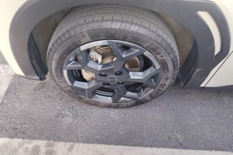 Used BYD Seagull 2025 305 km Free Version