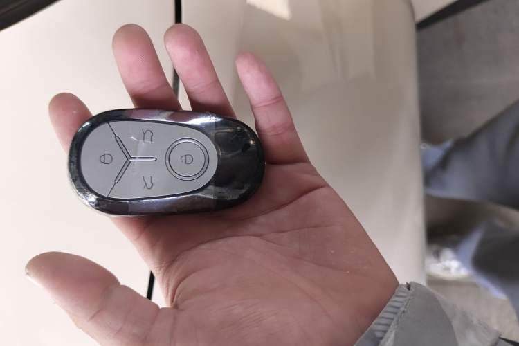 Used  Geome 2025 310km Youth Edition
