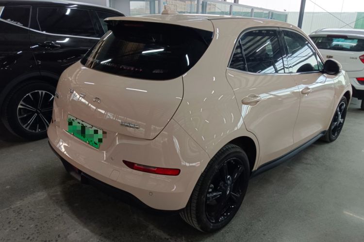 Used ORA Good Cat 2024 401 km Luxury Version